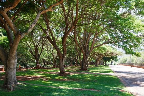 Blyde Canyon, A Forever Resort: Camping Site With Electricity